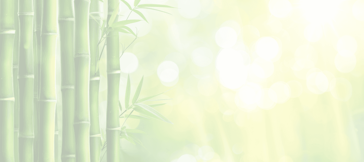 Bamboo Forest Background